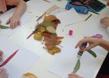 IMG_20241024_141618_1.jpg