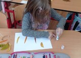 IMG_20241024_141638.jpg