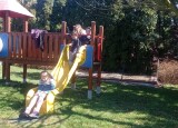 IMG_20250403_141227.jpg