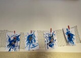 IMG_6646.jpeg